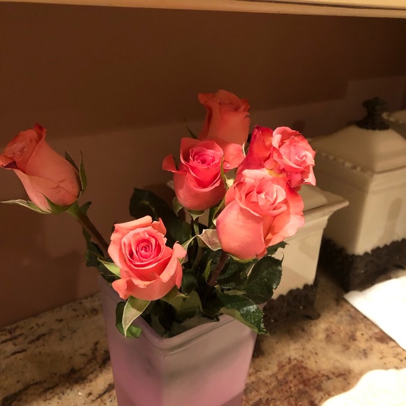 Meet your Posher, Samantha - Picture 1 of 1